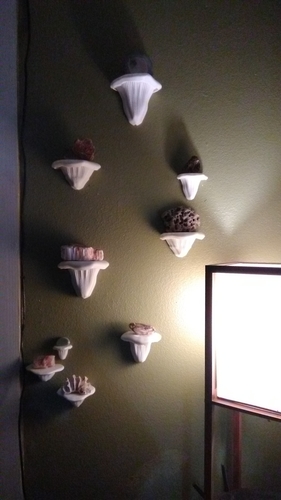 Shelf Fungus display shelves 3D Print 233774