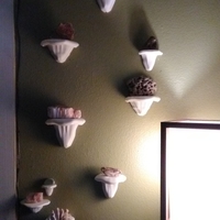 Shelf Fungus display shelves - Thumbnail 1