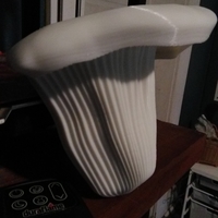 Shelf Fungus display shelves - Thumbnail 3