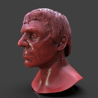Ther Monster Of Frankenstein - Thumbnail 2