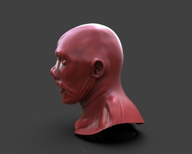 ​Jason Voorhes Bust 3D Print 234272