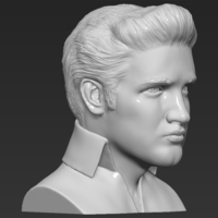 Elvis Presley bust ready for full color 3D printing - Thumbnail 15