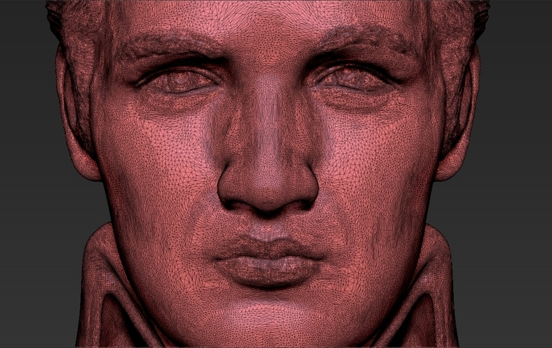 Elvis Presley bust ready for full color 3D printing 3D Print 234384