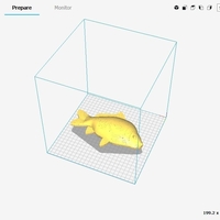 Small Carp Fish 3D Printing 234387