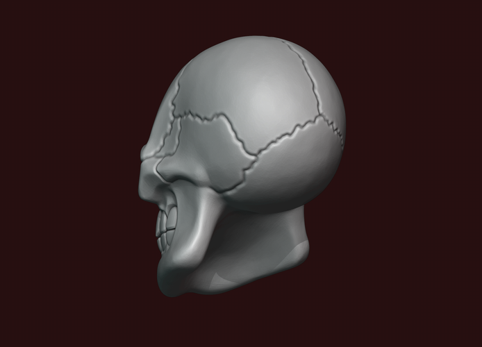 Skull stylized 3D Print 234469