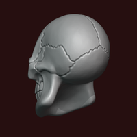 Skull stylized - Thumbnail 4