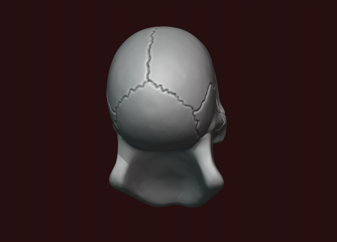 Skull stylized 3D Print 234470