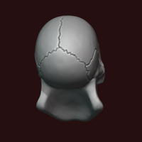 Skull stylized - Thumbnail 5