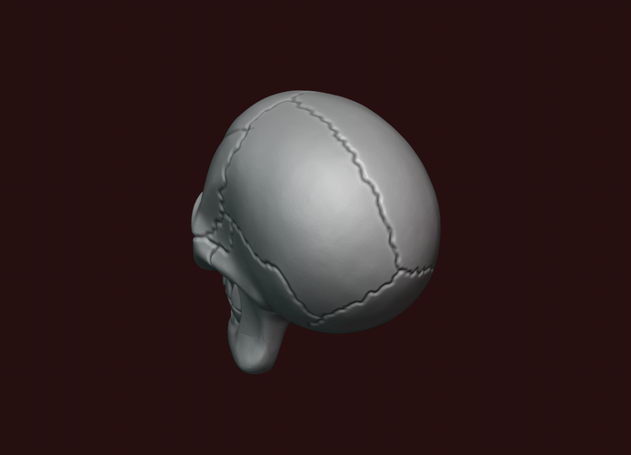 Skull stylized 3D Print 234474