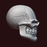 Skull stylized - Thumbnail 11
