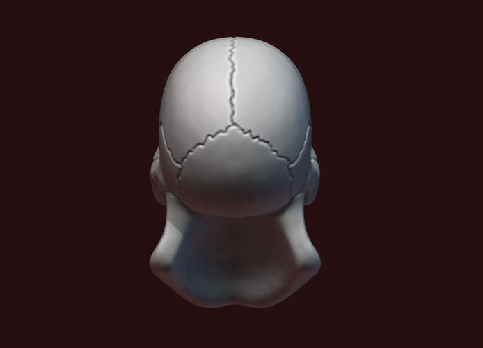 Skull stylized 3D Print 234477