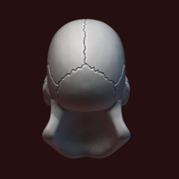 Skull stylized - Thumbnail 12