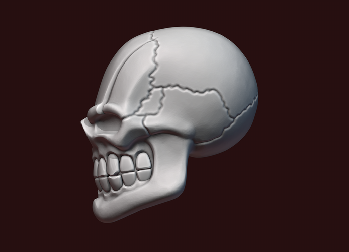 Skull stylized 3D Print 234478