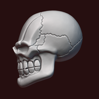 Skull stylized - Thumbnail 13