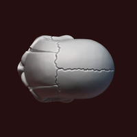 Skull stylized - Thumbnail 14