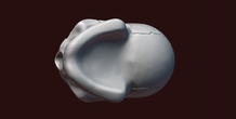 Image 234480