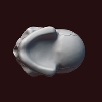 Skull stylized - Thumbnail 15