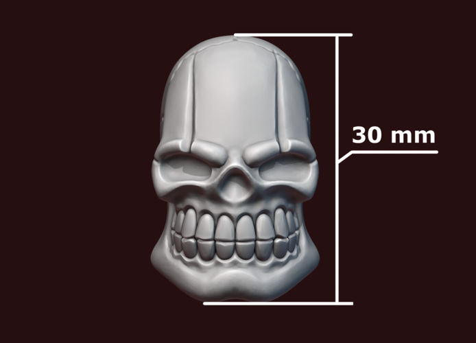 Skull stylized 3D Print 234481