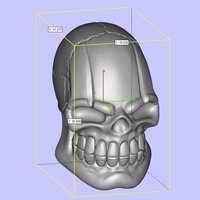Skull stylized - Thumbnail 17