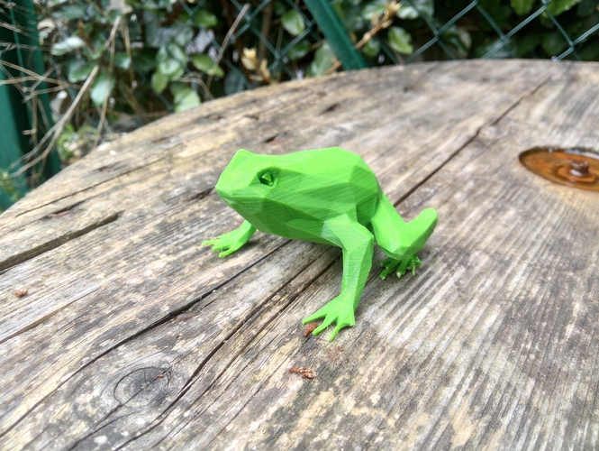 low poly toad 3D Print 234980
