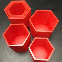 Small Concentric Hive Nesting Cups 3D Printing 235248