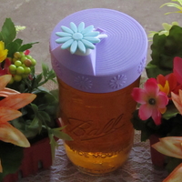 Small Flower Power Mason Jar Lid 3D Printing 235613