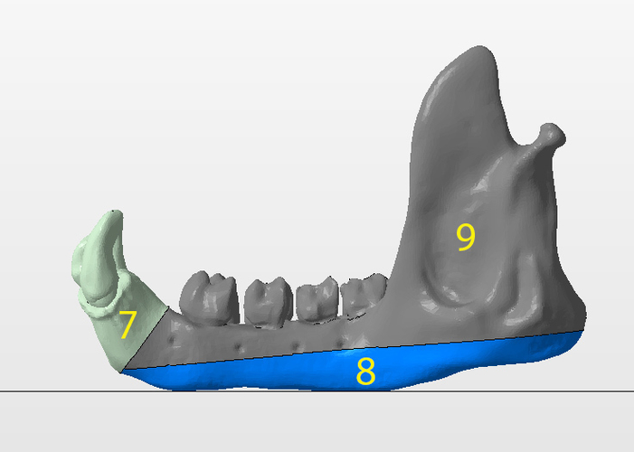 Troll Skull 3D Print 235726