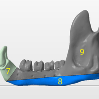 Troll Skull - Thumbnail 7