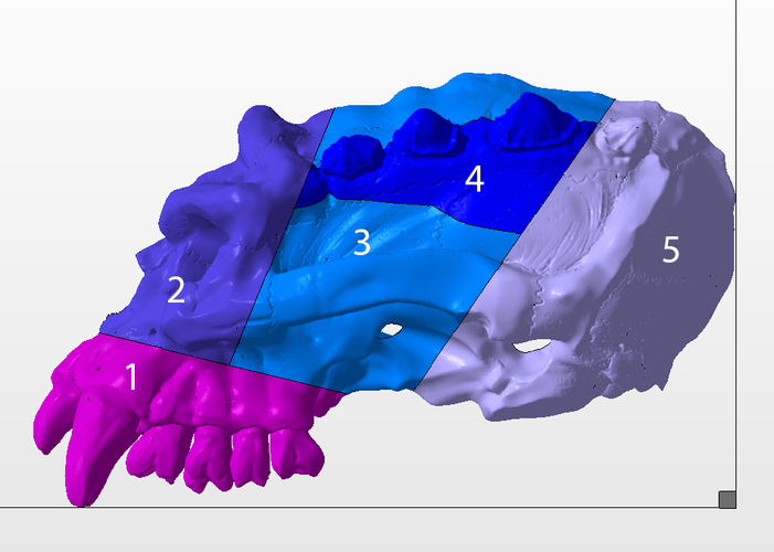 Troll Skull 3D Print 235727