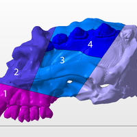 Troll Skull - Thumbnail 8