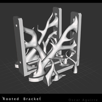 Rooted Brackets - Thumbnail 1