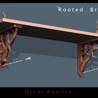 Rooted Brackets - Thumbnail 2