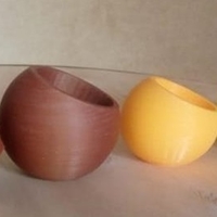 Maceta cactus suculenta esferica - Thumbnail 1