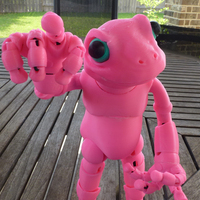 Froggy: the 3D printed ball-jointed frog doll - Thumbnail 4