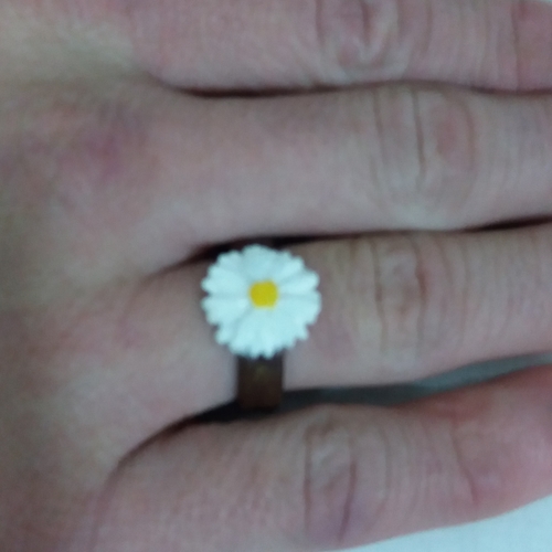 Ring with embossed and overflowing daisy  3D Print 238184