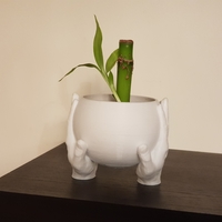 CARRYING HANDS PLANT POT - Thumbnail 1