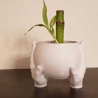 CARRYING HANDS PLANT POT - Thumbnail 2