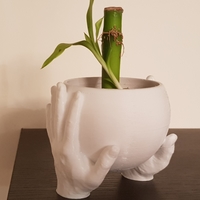 Small CARRYING HANDS PLANT POT 3D Printing 238202