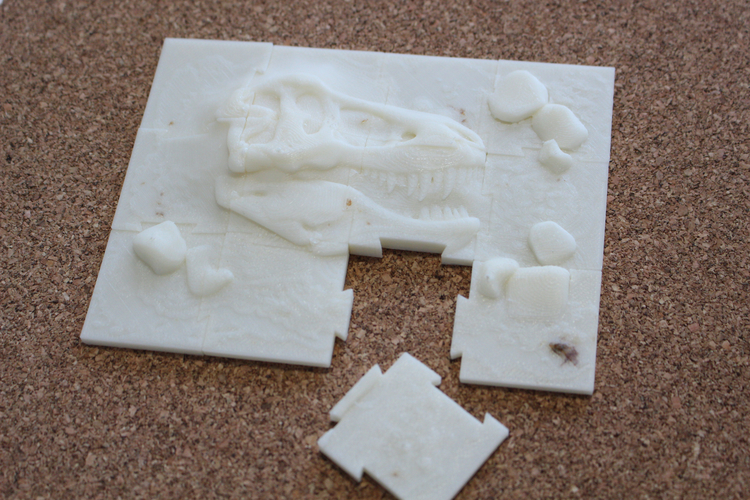 Jigsaw "Paleontology" (12 pieces) 3D Print 238330
