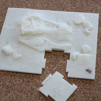 Small Jigsaw "Paleontology" (12 pieces) 3D Printing 238330