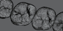Image 238546