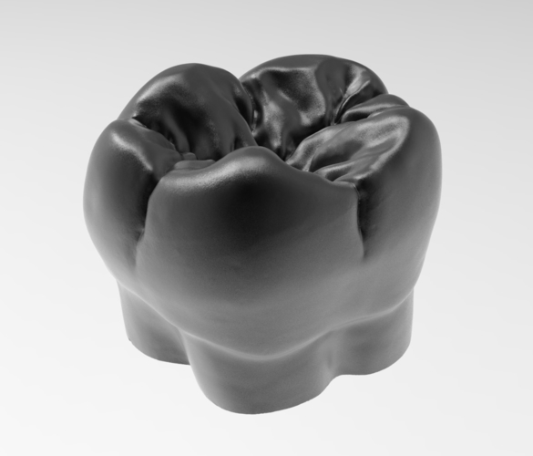 Molar tooth for 3D printing 3D Print 238559