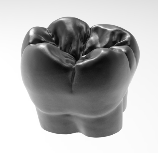 Molar tooth for 3D printing 3D Print 238560