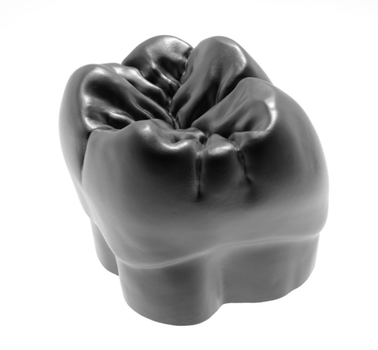 Molar tooth for 3D printing 3D Print 238563