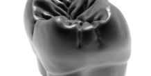 Image 238563
