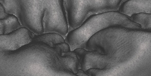 Image 238564