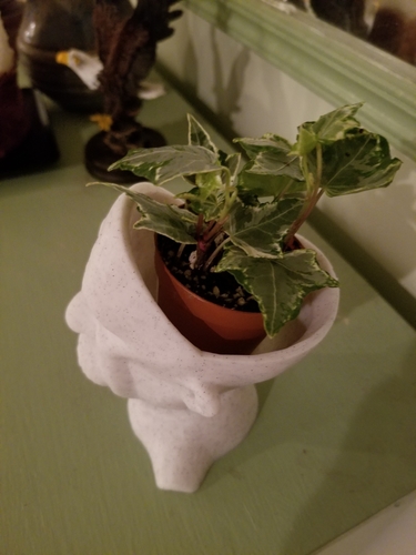 Einstein Planter 3D Print 238705