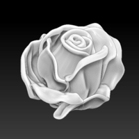 Rose flower - Thumbnail 1