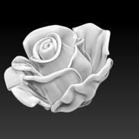 Small Rose flower 3D Printing 238730