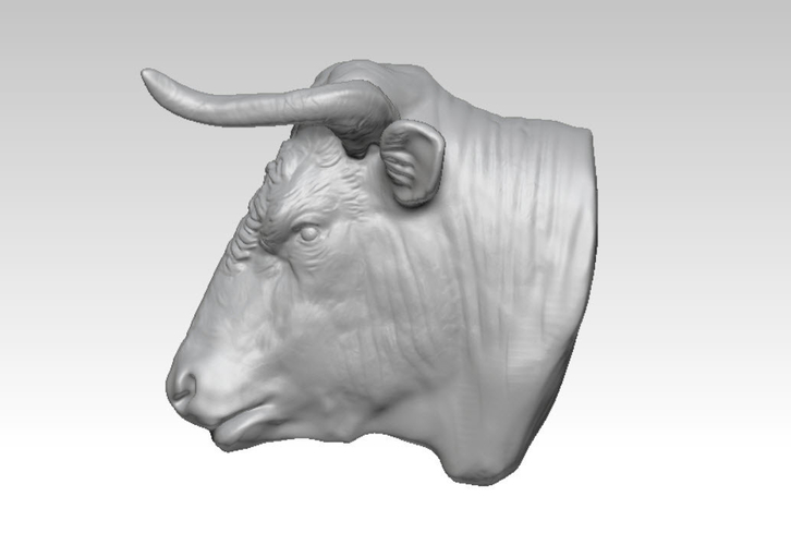 Bull head 3D Print 238732